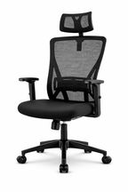 Chaise de bureau ErgoSit